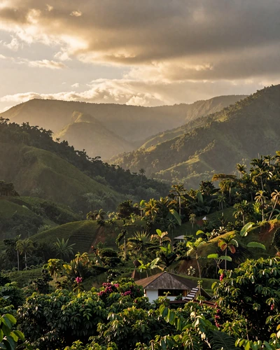 Scenic Blue Mountains of Jamaica with lush tropical forest and misty valleys at golden hour